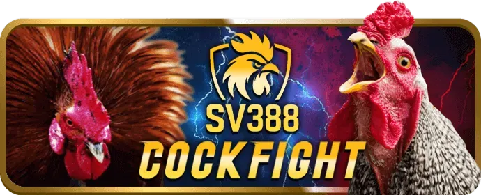 Hỗ trợ khách hàng 24/7 78bet nhà cái